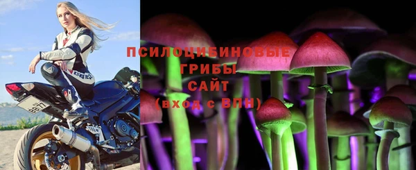 марки nbome Белокуриха