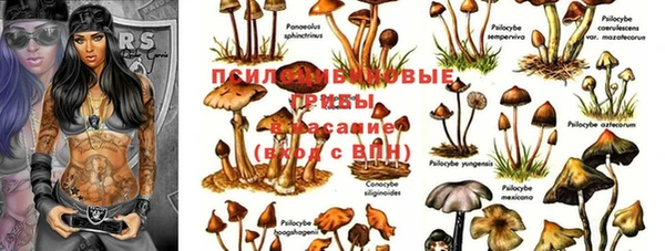 марки nbome Белокуриха