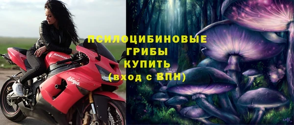 мескалин Богородицк