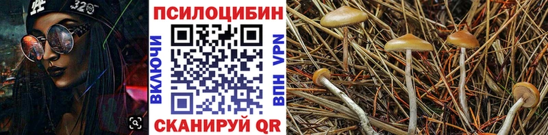 Галлюциногенные грибы мухоморы Невьянск